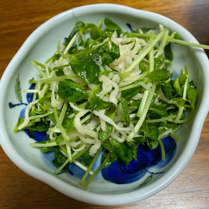 切り干し大根と豆苗の和え物